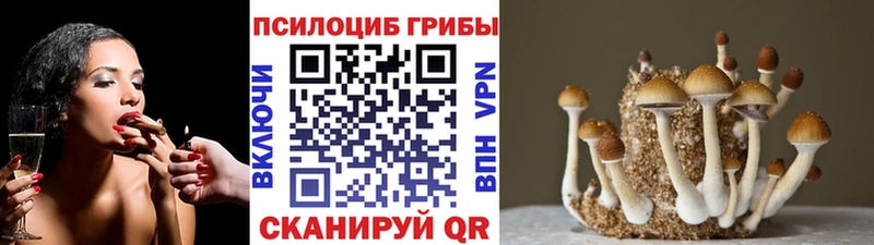 Псилоцибиновые грибы прущие грибы  даркнет формула  Жиздра 